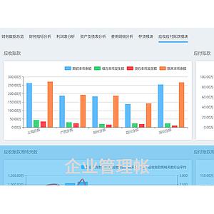 企业管理帐(数字化管理)